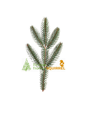 Albero di Natale "Belgian" 100% PE