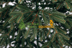 Albero di Natale "Belgian" 100% PE